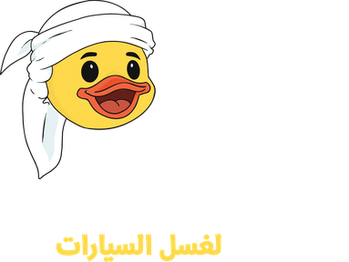 Little Duck Car Wash